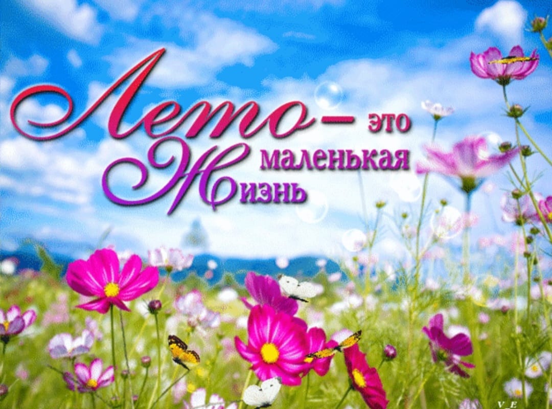 Лето это маленькая жизнь картинки для детей